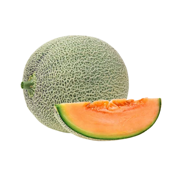מילון שלם