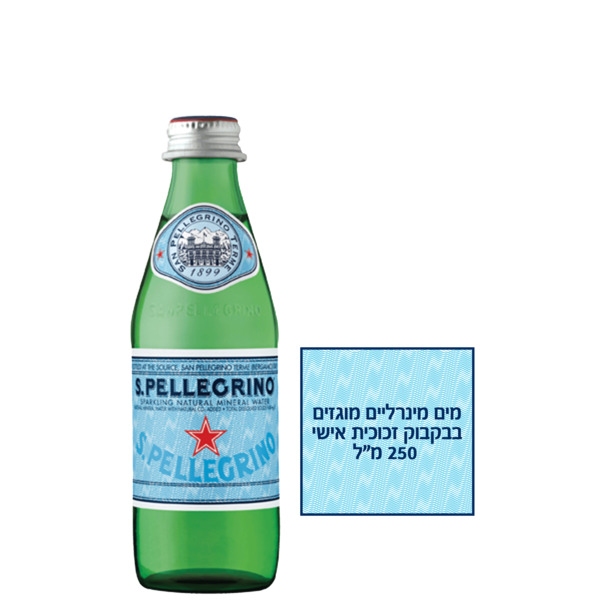 סן פלגרינו | מים מינרליים טבעיים מוגזים 250 מ"ל מארז 6 יחידות